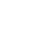 Pakistan icon