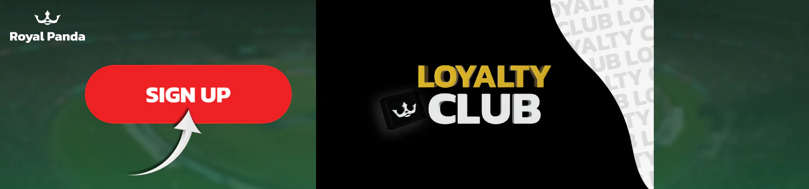 VIP program for Pakistani players Royal Panda
