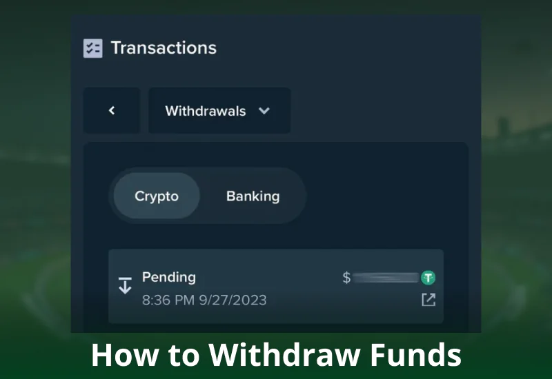 Withdrawal method on Stake Pakistan