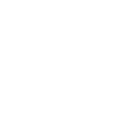 Language icon