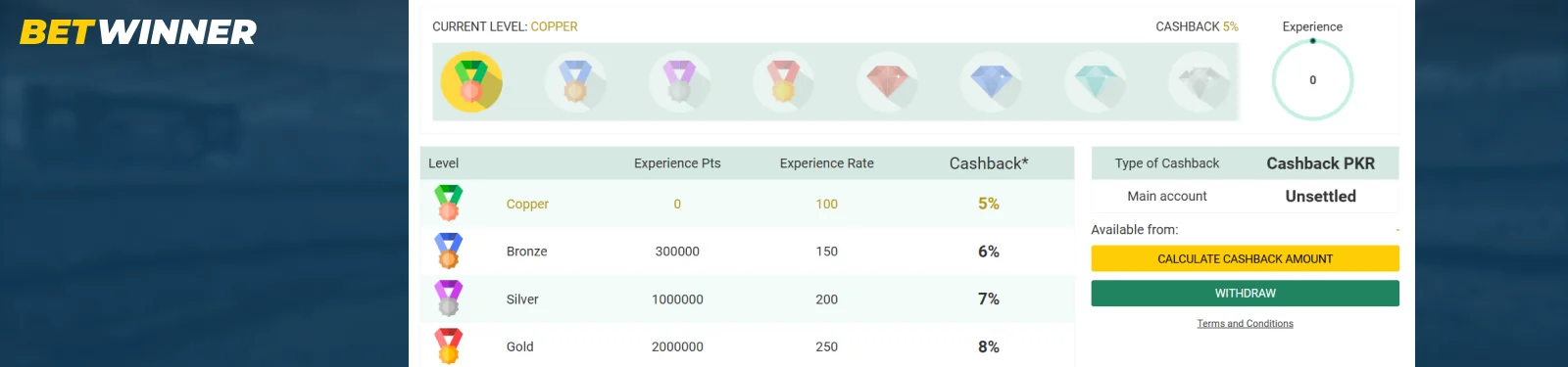 BetWinner VIP program