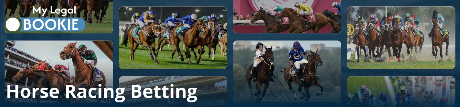 Equestrian competition at MyLegalBookie