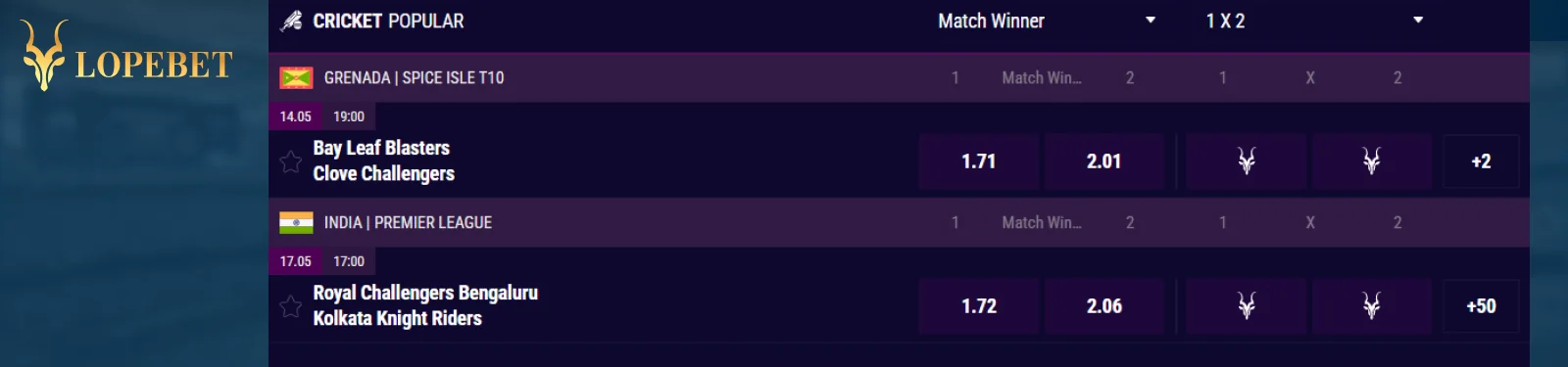 Lope.Bet Sports Betting Guide