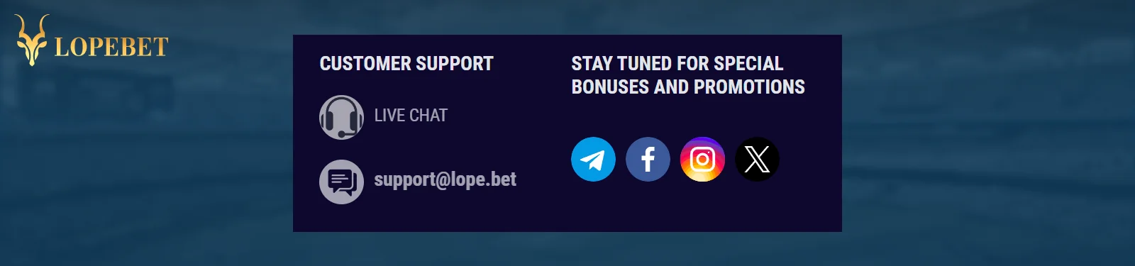 Contact Lope.Bet Support